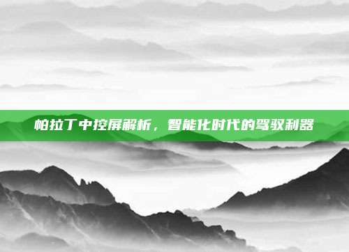 帕拉丁中控屏解析,智能化时代的驾驭利器