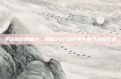 手动操控的魅力,揭秘20万级轿车中的手动挡王者
