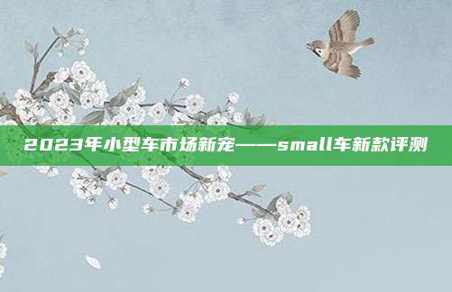 2023年小型车市场新宠——small车新款评测