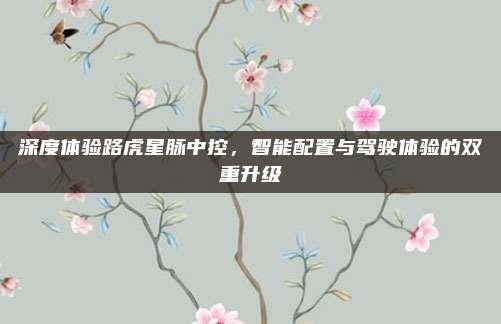 深度体验路虎星脉中控，智能配置与驾驶体验的双重升级