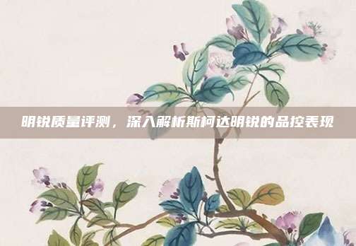 明锐质量评测，深入解析斯柯达明锐的品控表现