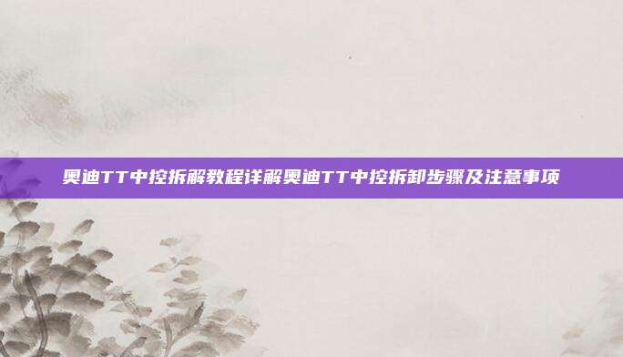 奥迪TT中控拆解教程详解奥迪TT中控拆卸步骤及注意事项
