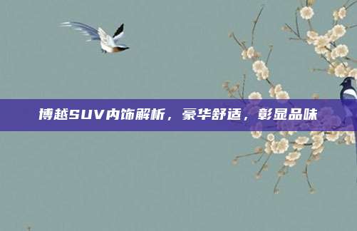 博越SUV内饰解析,豪华舒适,彰显品味