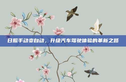 日照手动变自动,升级汽车驾驶体验的革新之路