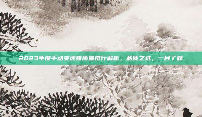 2023年度手动变速箱质量排行解析,品质之选,一目了然
