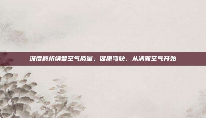 深度解析缤智空气质量,健康驾驶,从清新空气开始