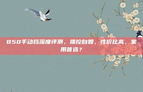 B50手动挡深度评测，操控自如，性价比高，家用首选？
