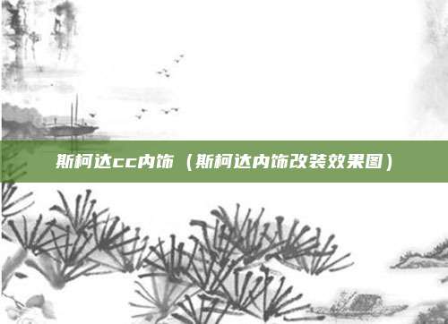 斯柯达cc内饰（斯柯达内饰改装效果图）