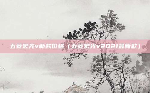五菱宏光v新款价格（五菱宏光v2021最新款）