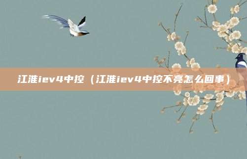 江淮iev4中控（江淮iev4中控不亮怎么回事）