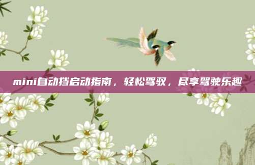mini自动挡启动指南,轻松驾驭,尽享驾驶乐趣