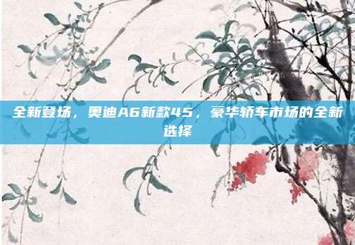 全新登场,奥迪A6新款45,豪华轿车市场的全新选择