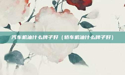 汽车机油什么牌子好（轿车机油什么牌子好）
