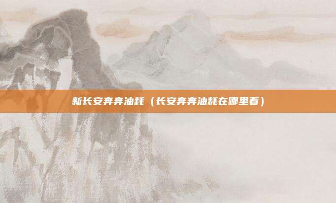 新长安奔奔油耗（长安奔奔油耗在哪里看）