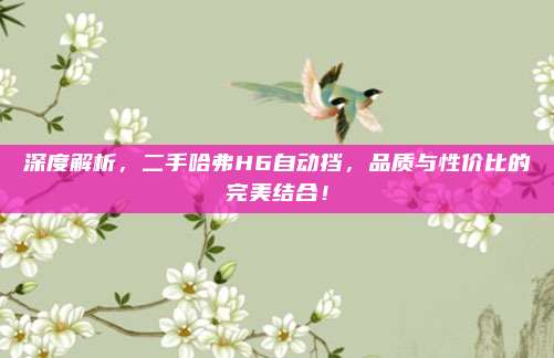 深度解析,二手哈弗H6自动挡,品质与性价比的完美结合!