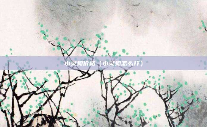 小灵狗价格（小灵狗怎么样）