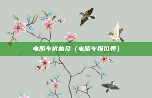 电瓶车价格及（电瓶车报价表）
