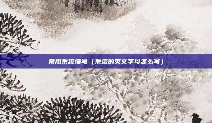 常用系统缩写（系统的英文字母怎么写）