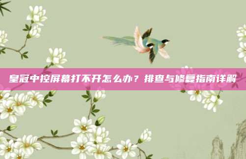 皇冠中控屏幕打不开怎么办?排查与修复指南详解