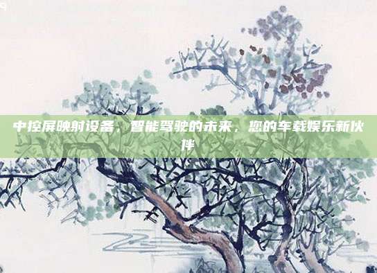 中控屏映射设备,智能驾驶的未来,您的车载娱乐新伙伴