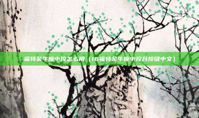 福特金牛座中控怎么用（16福特金牛座中控台按键中文）