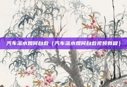 汽车落水如何自救（汽车落水如何自救视频教程）