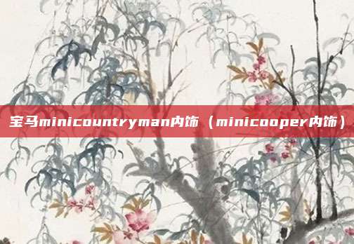 宝马minicountryman内饰（minicooper内饰）