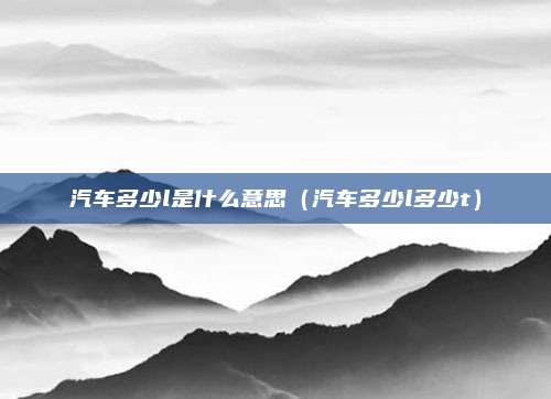 汽车多少l是什么意思（汽车多少l多少t）