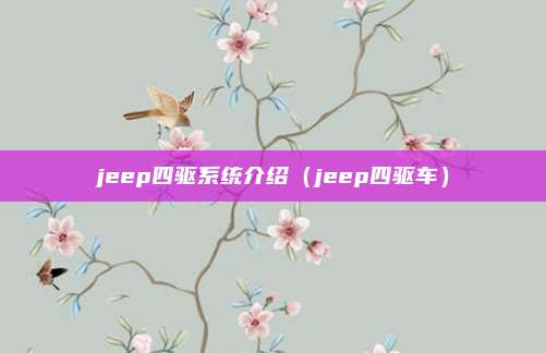 jeep四驱系统介绍（jeep四驱车）