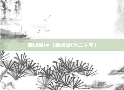 自动挡1w(自动挡1万二手车)