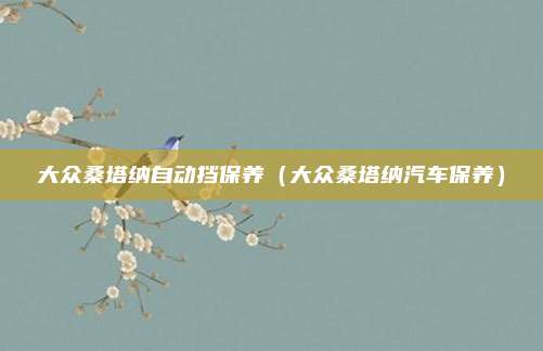 大众桑塔纳自动挡保养(大众桑塔纳汽车保养)