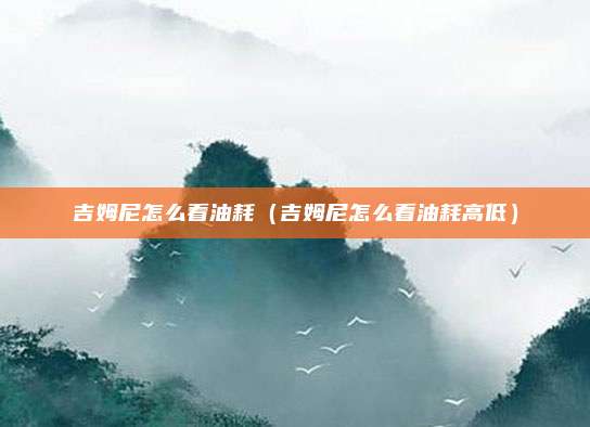 吉姆尼怎么看油耗(吉姆尼怎么看油耗高低)