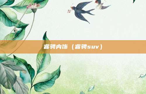 睿骋内饰（睿骋suv）