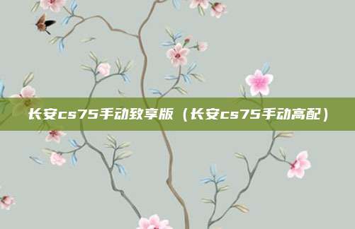 长安cs75手动致享版（长安cs75手动高配）