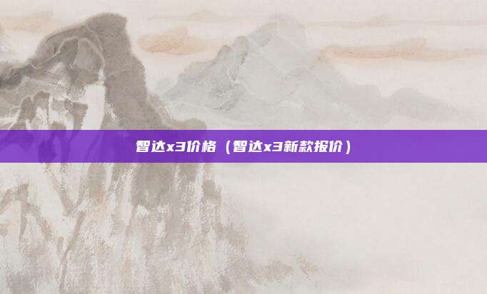 智达x3价格（智达x3新款报价）