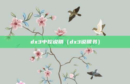 dx3中控说明（dx3说明书）