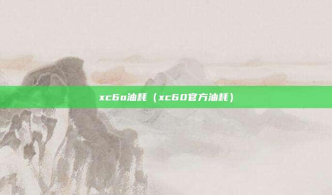 xc6o油耗（xc60官方油耗）