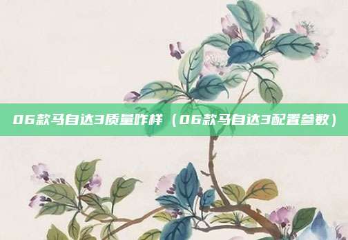 06款马自达3质量咋样(06款马自达3配置参数)