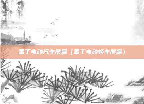 雷丁电动汽车质量（雷丁电动轿车质量）