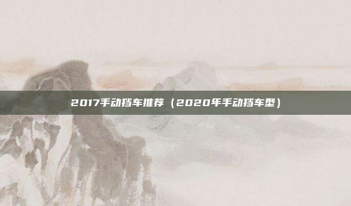 2017手动挡车推荐（2020年手动挡车型）