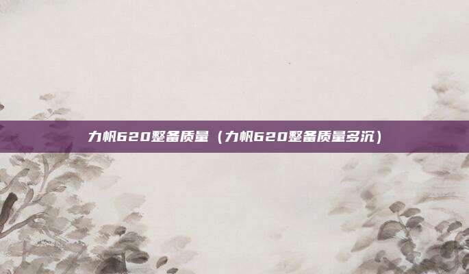力帆620整备质量（力帆620整备质量多沉）