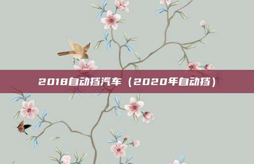 2018自动挡汽车（2020年自动挡）