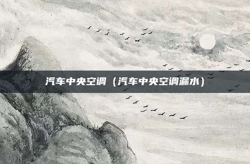 汽车中央空调（汽车中央空调漏水）