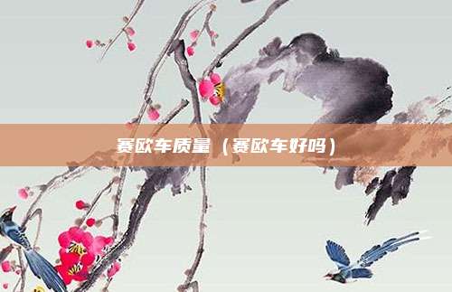 赛欧车质量（赛欧车好吗）
