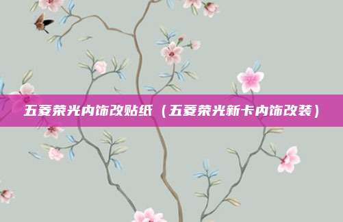 五菱荣光内饰改贴纸（五菱荣光新卡内饰改装）