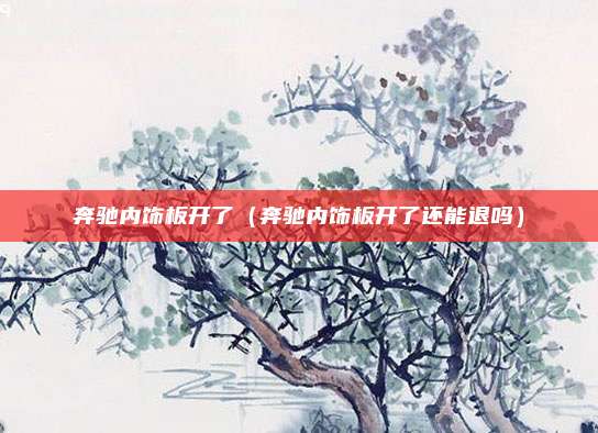 奔驰内饰板开了（奔驰内饰板开了还能退吗）