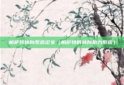 帕萨特转向系统论文（帕萨特的转向助力系统）