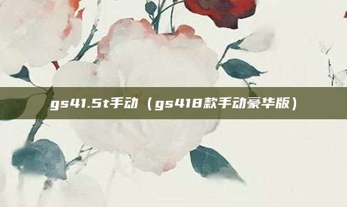 gs41.5t手动（gs418款手动豪华版）