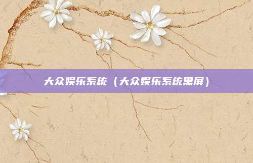 大众娱乐系统（大众娱乐系统黑屏）