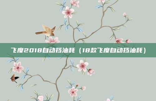 飞度2018自动挡油耗(18款飞度自动挡油耗)